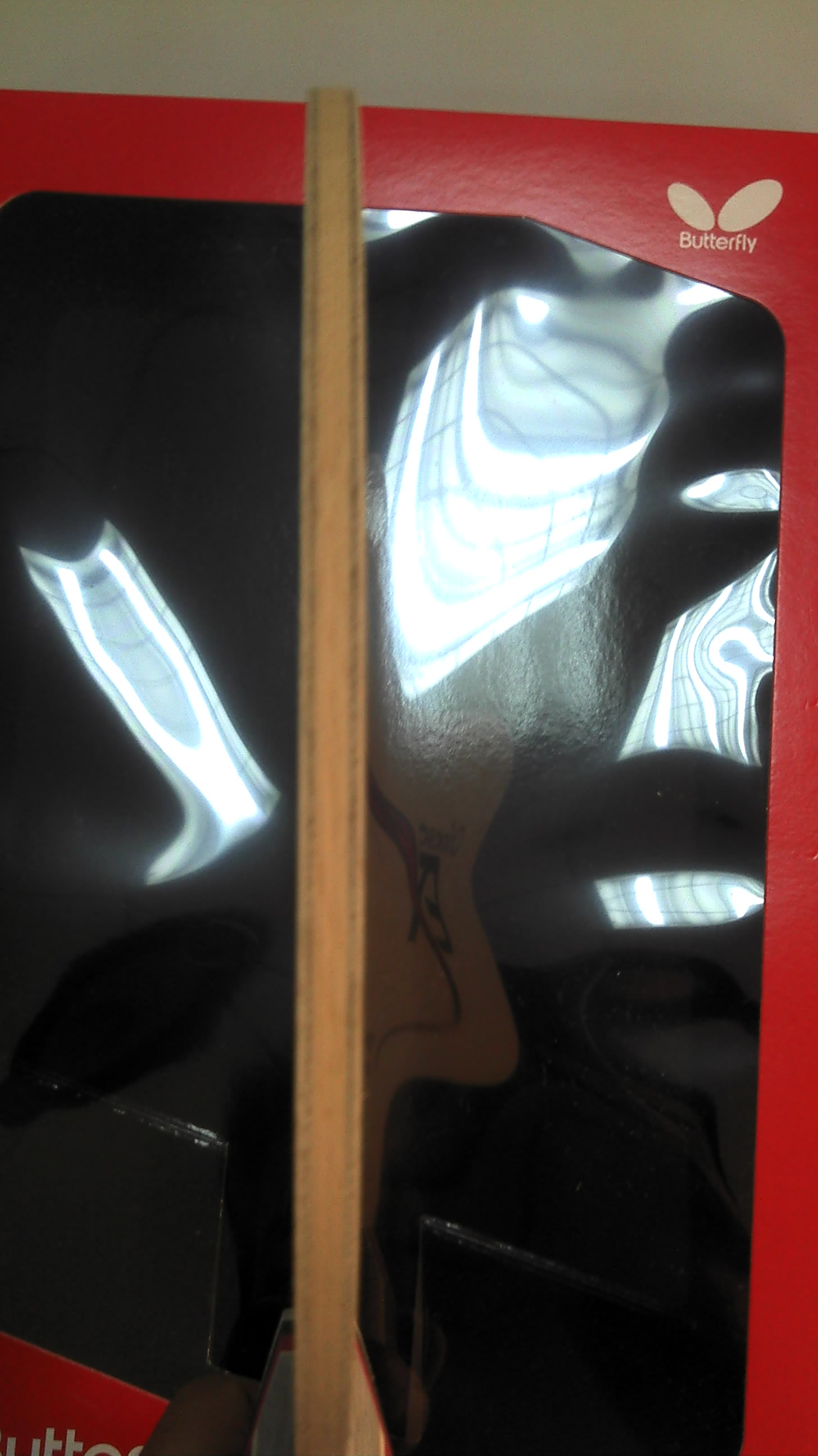 ���ձ������Ѵ����İ���