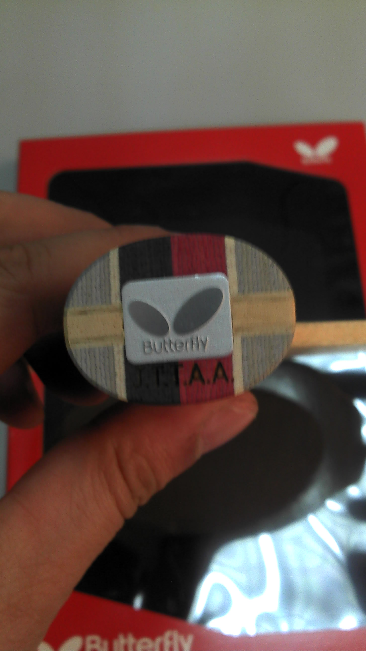 ���ձ������Ѵ����İ���