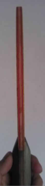 ���·�����506�г��档298����Բͨ�����������