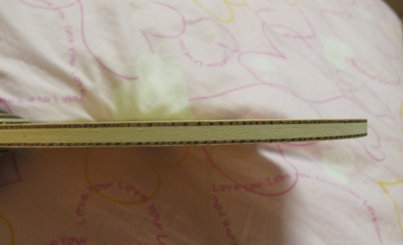 ŷ��˹�ٿ�VPS----350��