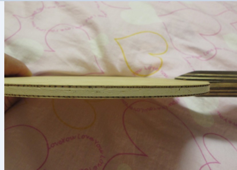 ŷ��˹�ٿ�VPS----350��