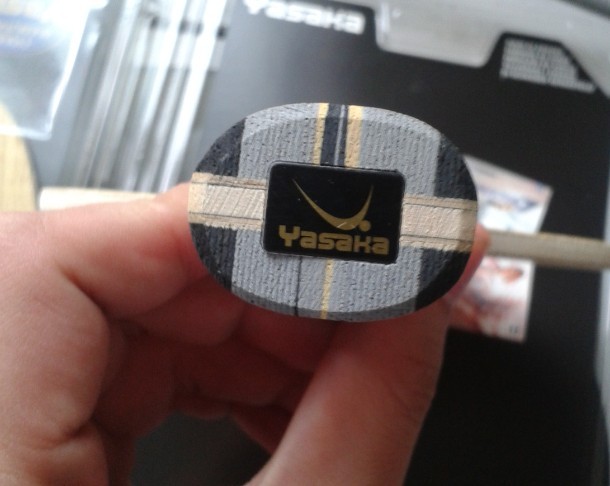 370  ���� ������̼ŷ�� ��Ѫ����Ƥ