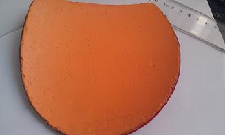 ����neo����40  �����39�ɻ��ڴ�ͻ��tsp������