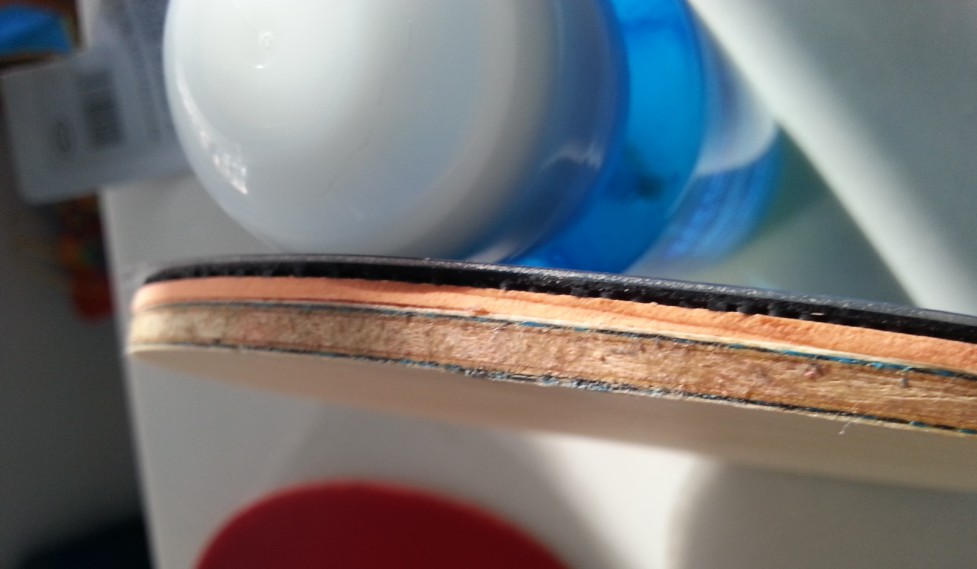 �ٳ�L�� VISһö������Ȥ��������