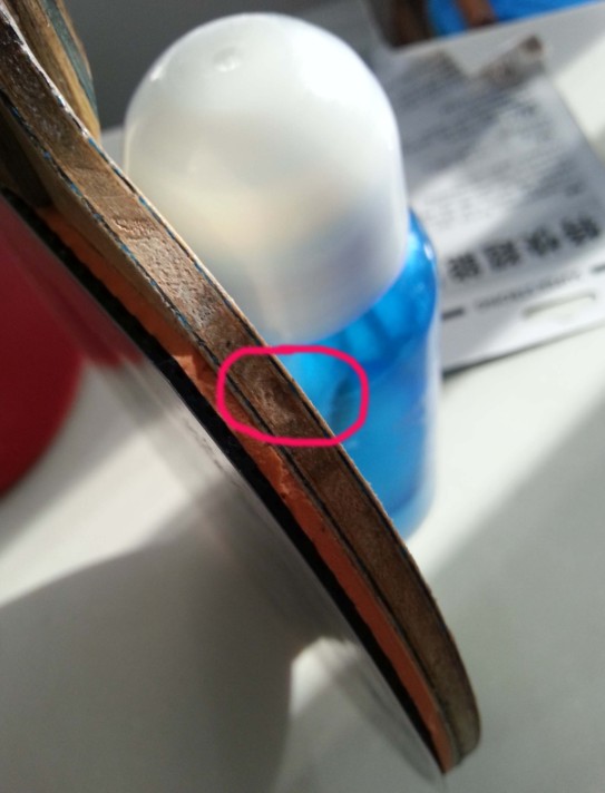 �ٳ�L�� VISһö������Ȥ��������