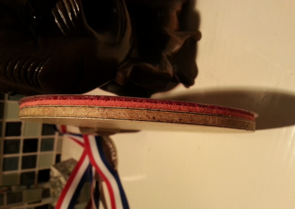 �ٳ�L�� VISһö������Ȥ��������