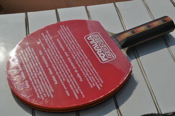 �����ա���STˮ����̼+����MAXXX 500��ST�и�����ariex��ֱ