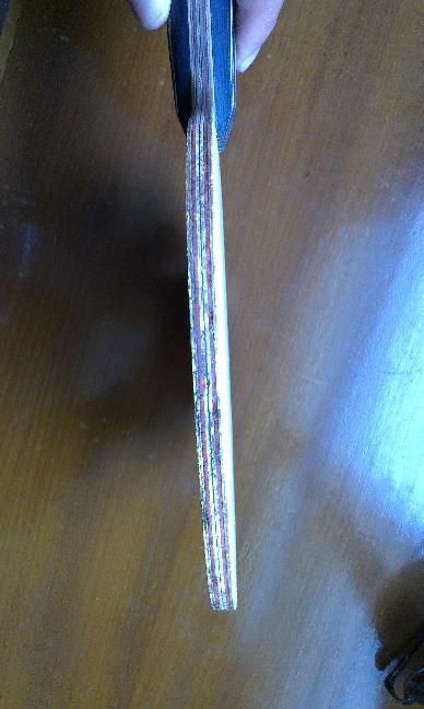 ��ͦ����̼��