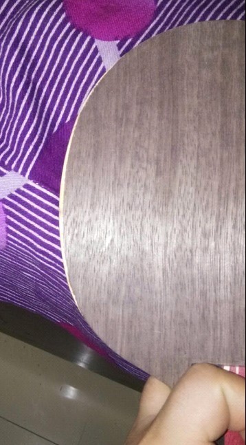 ��ȫ�����˵�ŷ��VPS  310�����Ӵ�CL 240�� ̼�ع��� 220�� �������ƶ���215�� TSP20072�� 100��