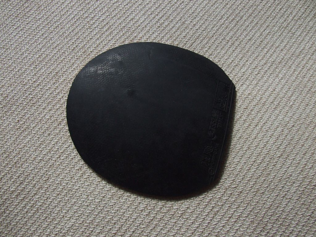 ���������ӣ�EG����ǡ������V14��V15��729-Z1