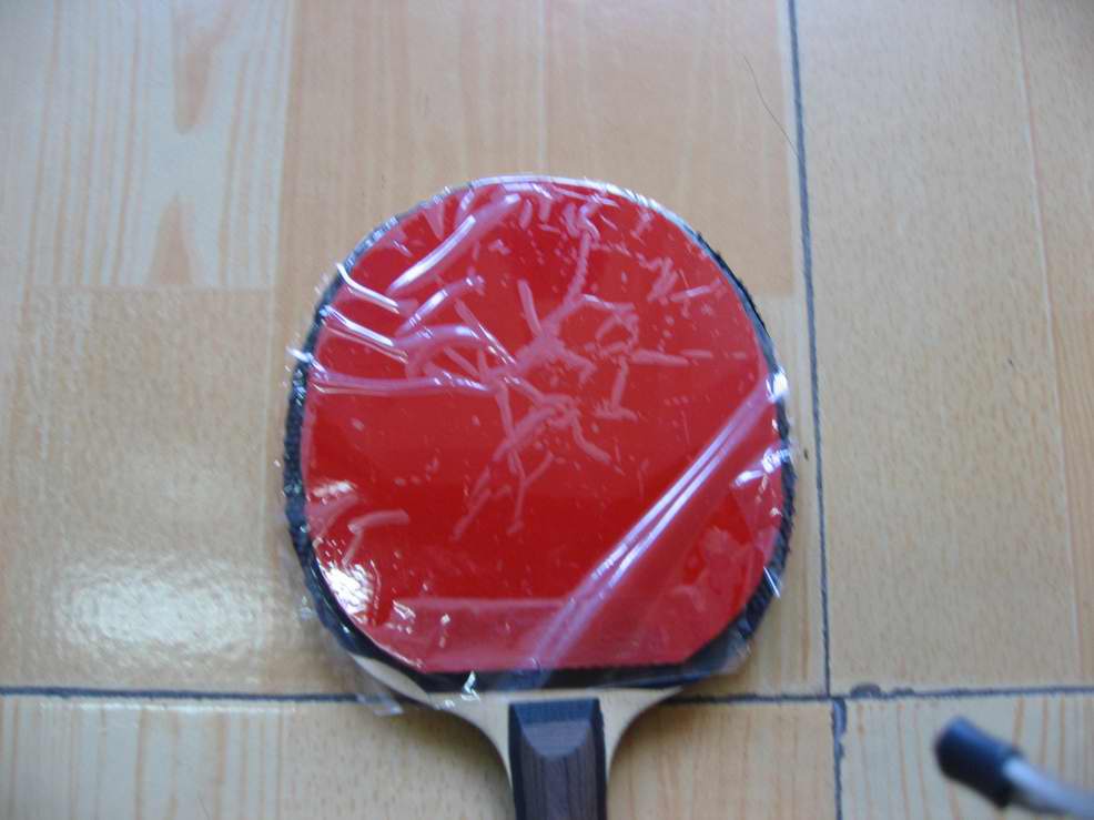 [ԭ��]��JOOLA �������