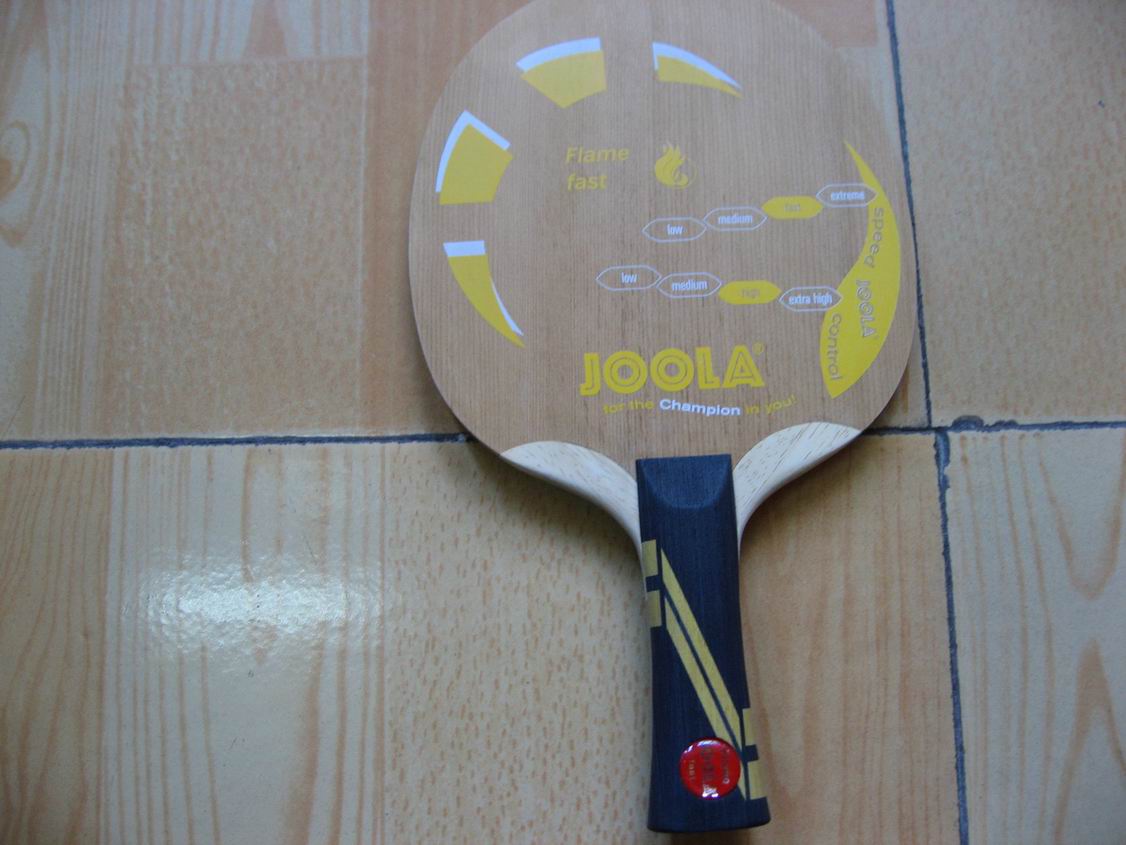 [ԭ��]��JOOLA �������