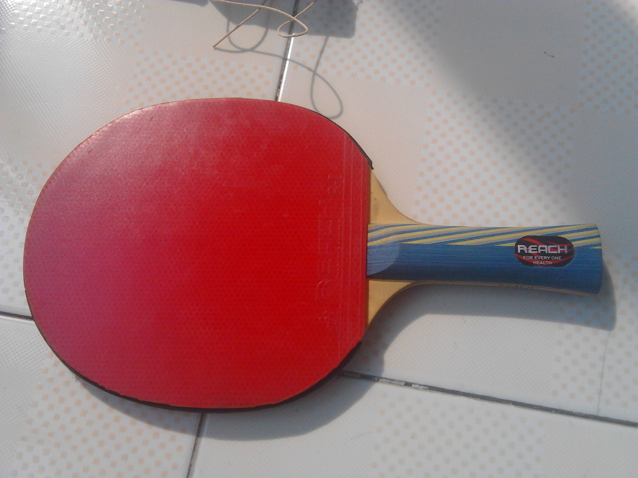 �ͼ۳��¹����REACH E-3ƹ�����ĵװ���һ��Ѷ���