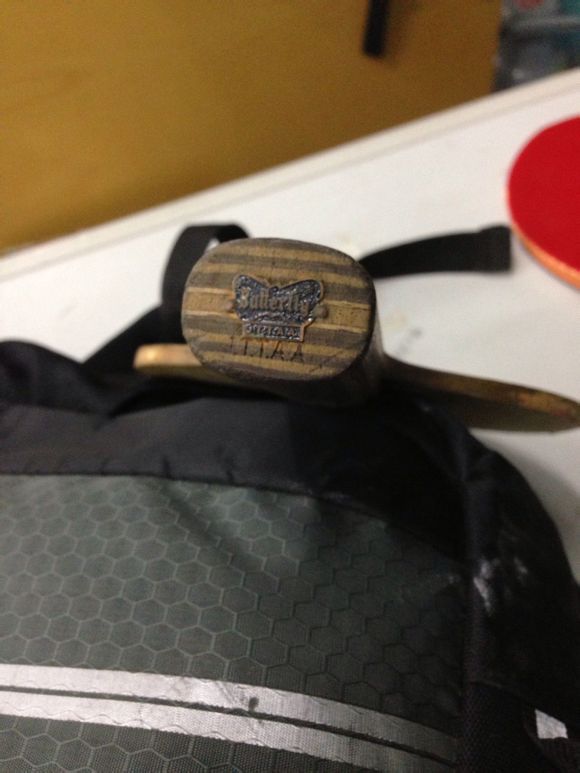 ���ƿɱ���