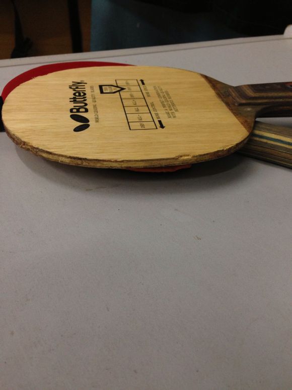 ���ƿɱ���