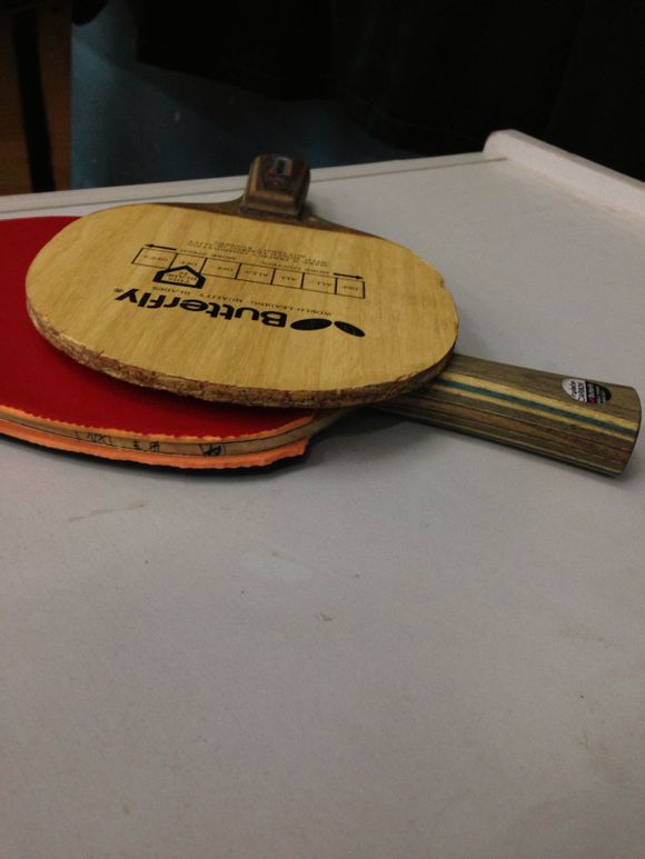 ���ƿɱ���