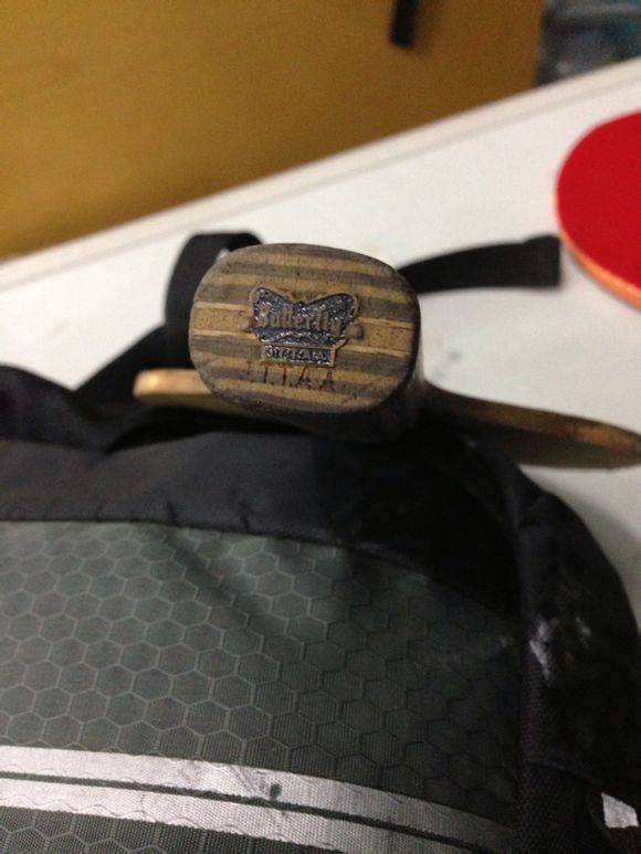 ���ƿɱ���