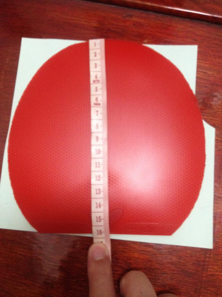 ֻ���˼��εĴ�ͣ�250����