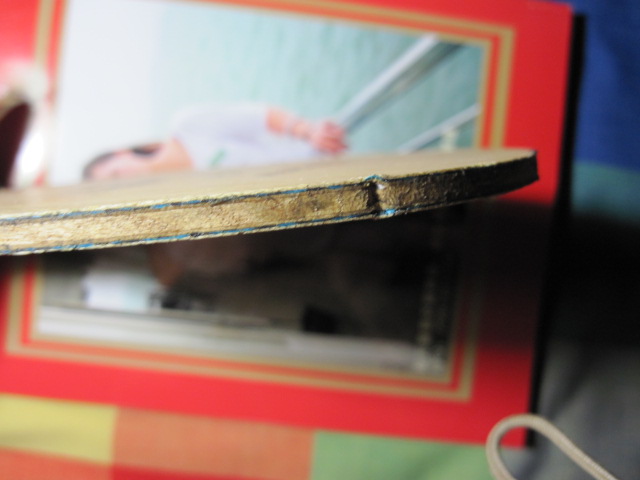 ��������G�� TBS 600���� ����Ȥ�������� ��ϲ���磬