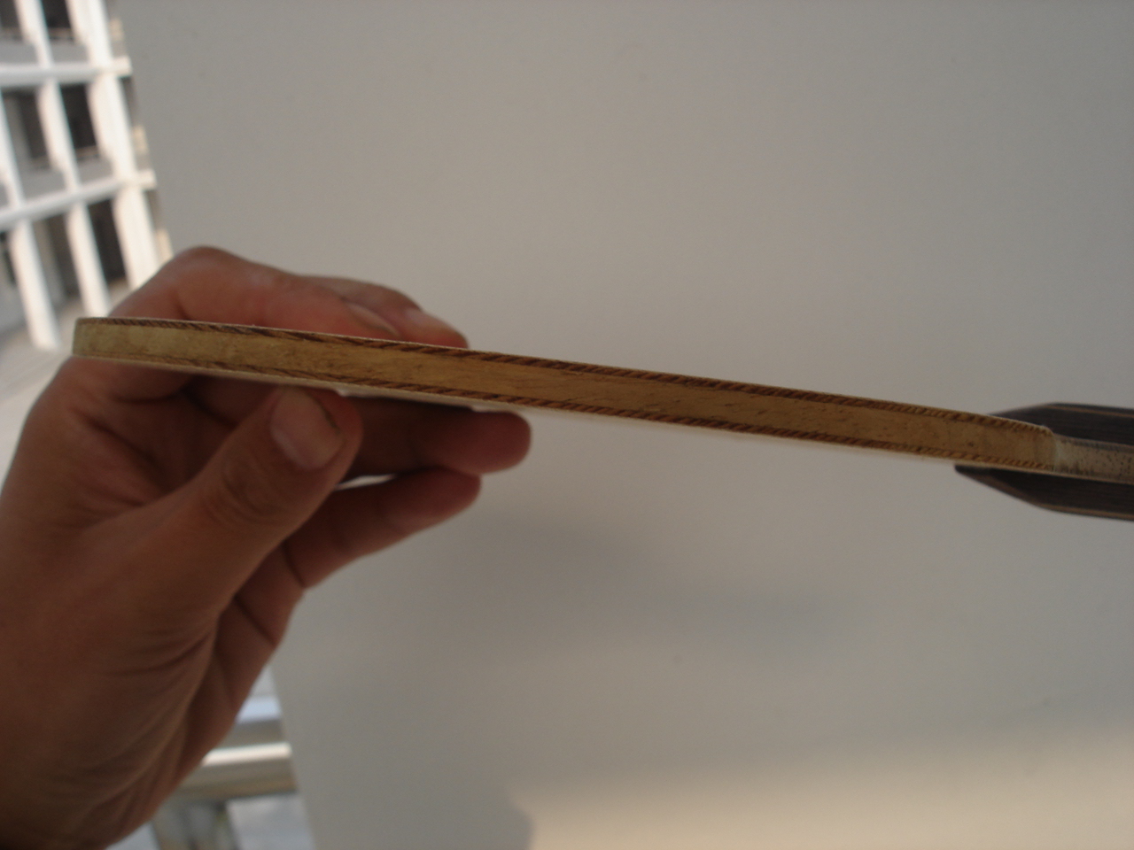 �����ѳ��л���ľ5