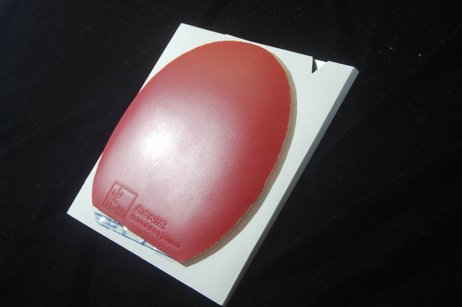 ������������������ţ�Ƶ��׽���Ʒ���¡�����������