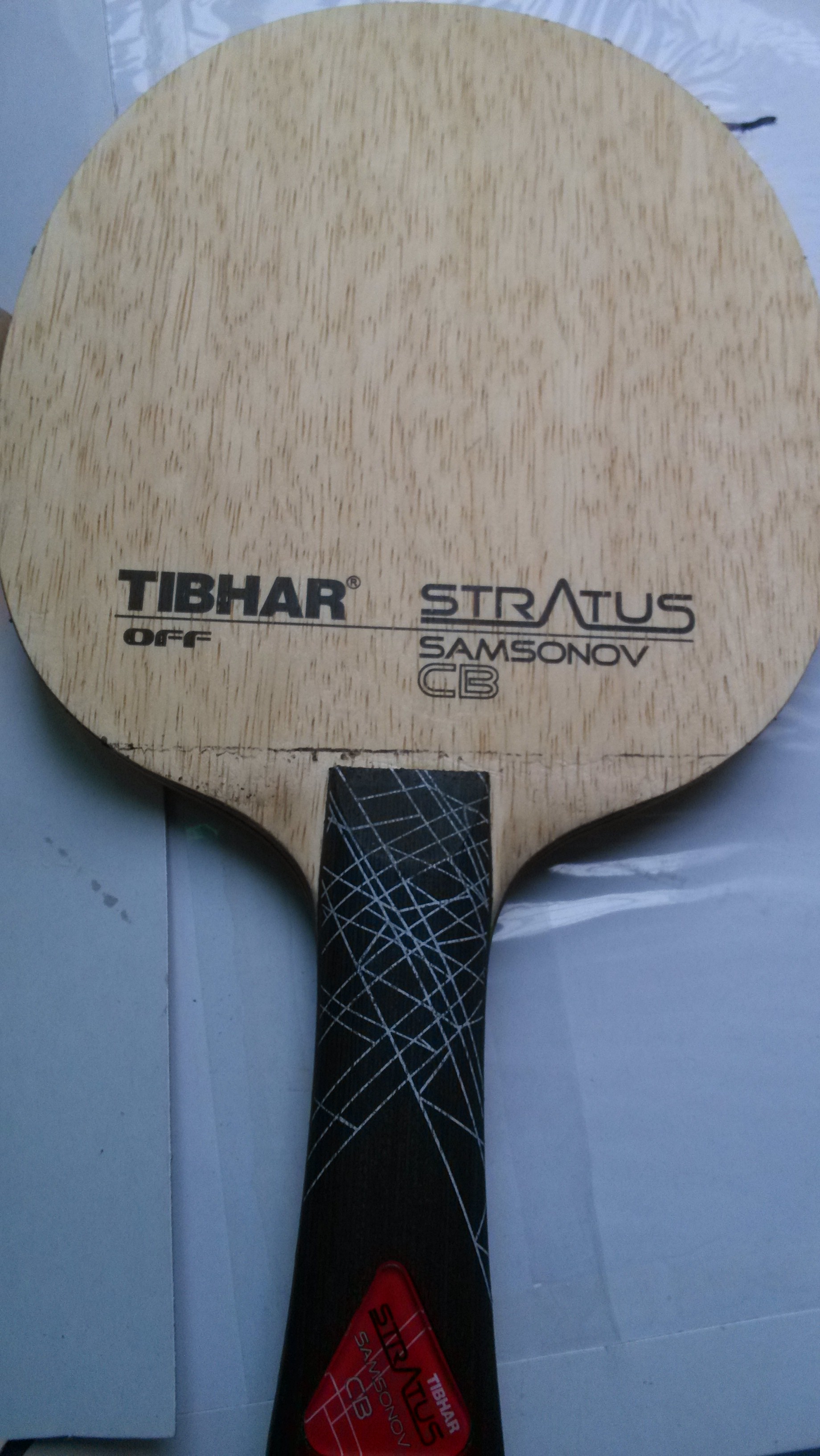 88������fl��̼֩������st��̼