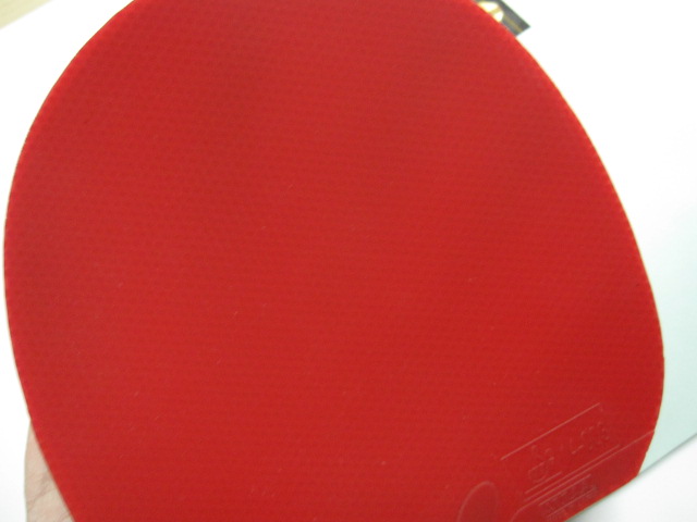 ��wyl��Ʒ����Ƥ���ɣ�T64  BRYCE  ��ʡ�� ��������ֿ��3 Ψ�� ���� ���� ŷ����4  �� ��ӭ��ש