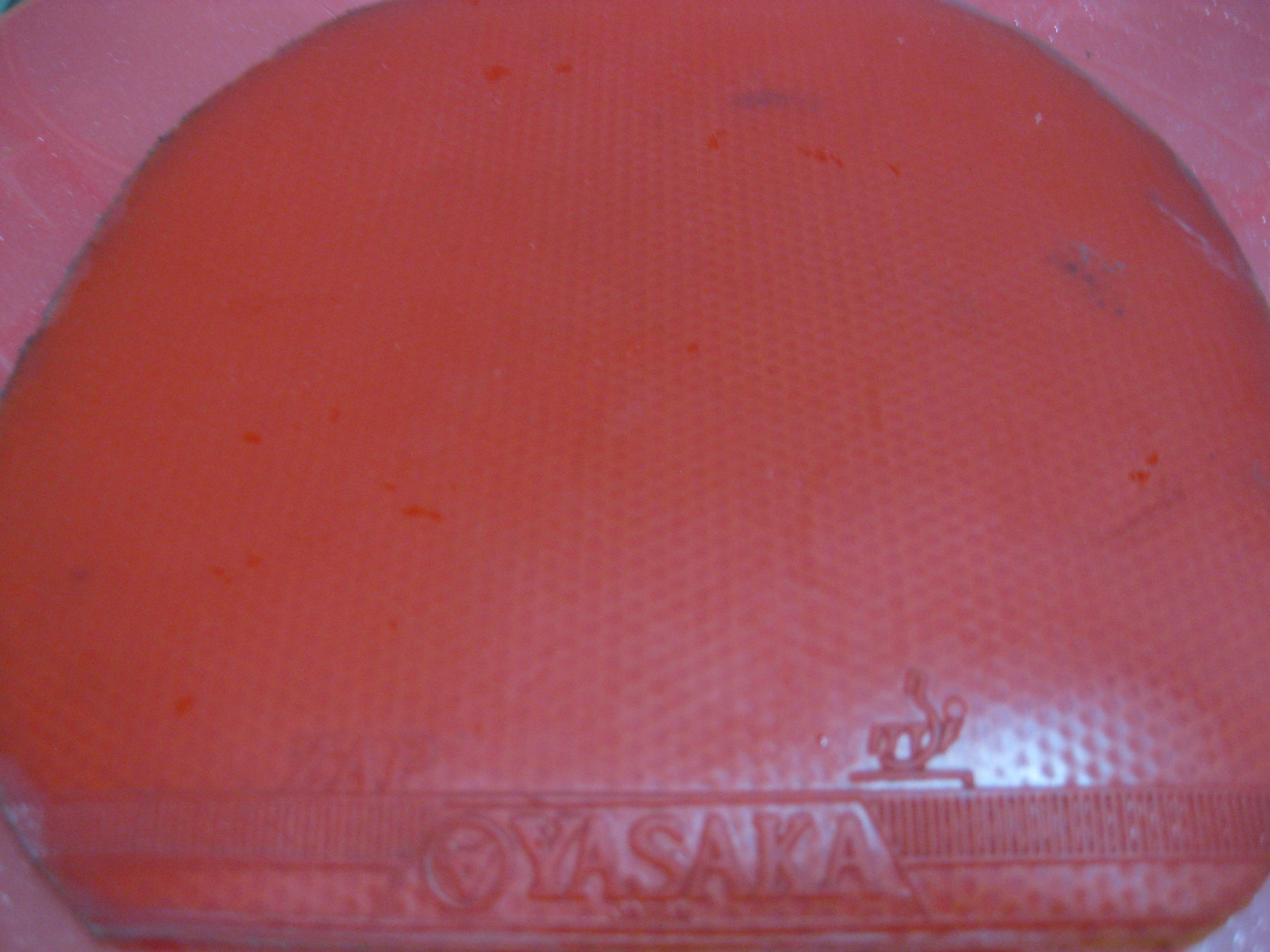 �����׵�����