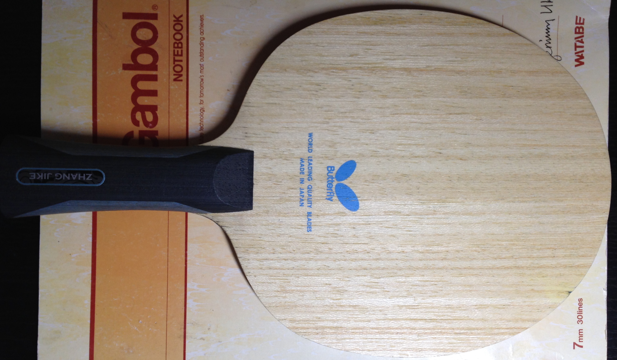 VIS�����ż̿� FL �����