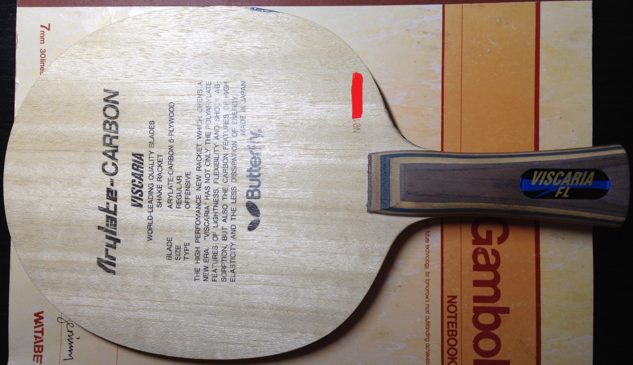 VIS�����ż̿� FL �����