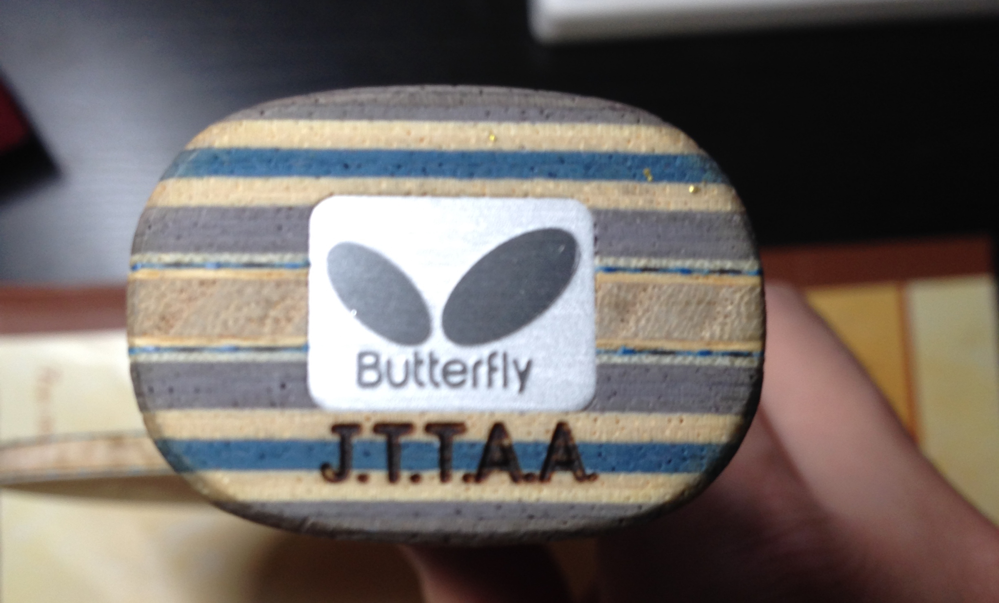 VIS�����ż̿� FL �����