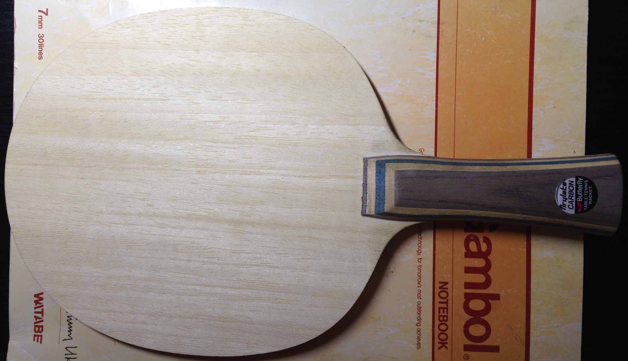 VIS�����ż̿� FL �����