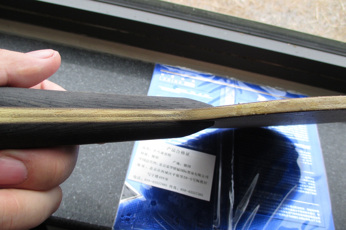 ~~~~����ɫ��FL����ǡ��δ���Ψ���й�����V)��729����~~~~~~~~~~~~~~~~~