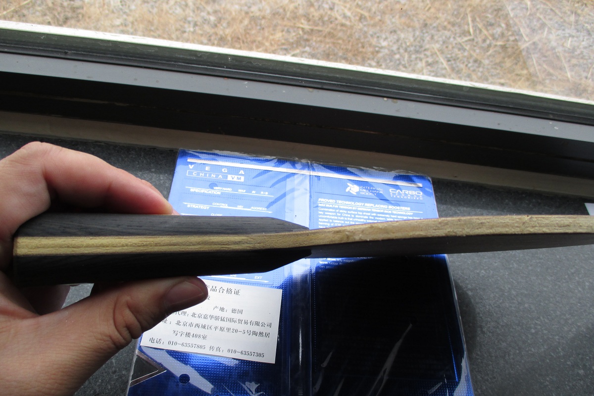 ~~~~����ɫ��FL����ǡ��δ���Ψ���й�����V)��729����~~~~~~~~~~~~~~~~~