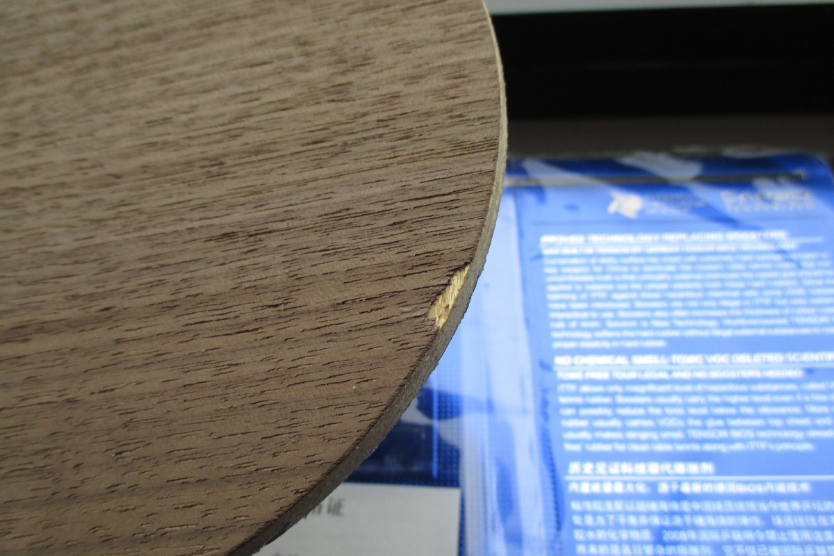 ~~~~����ɫ��FL����ǡ��δ���Ψ���й�����V)��729����~~~~~~~~~~~~~~~~~