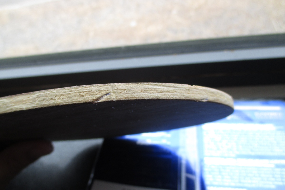 ~~~~����ɫ��FL����ǡ��δ���Ψ���й�����V)��729����~~~~~~~~~~~~~~~~~