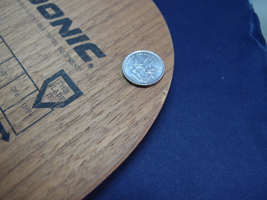 [��ͼ]��ͼֱ���ǡһ�����򻻣�����³���һֻ����������