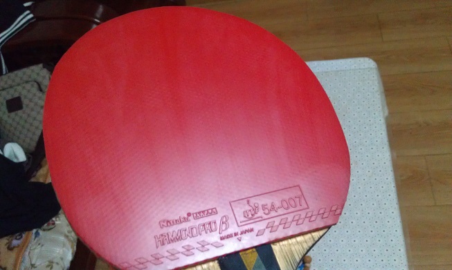 ��������ʮ���ɫ������ ����������