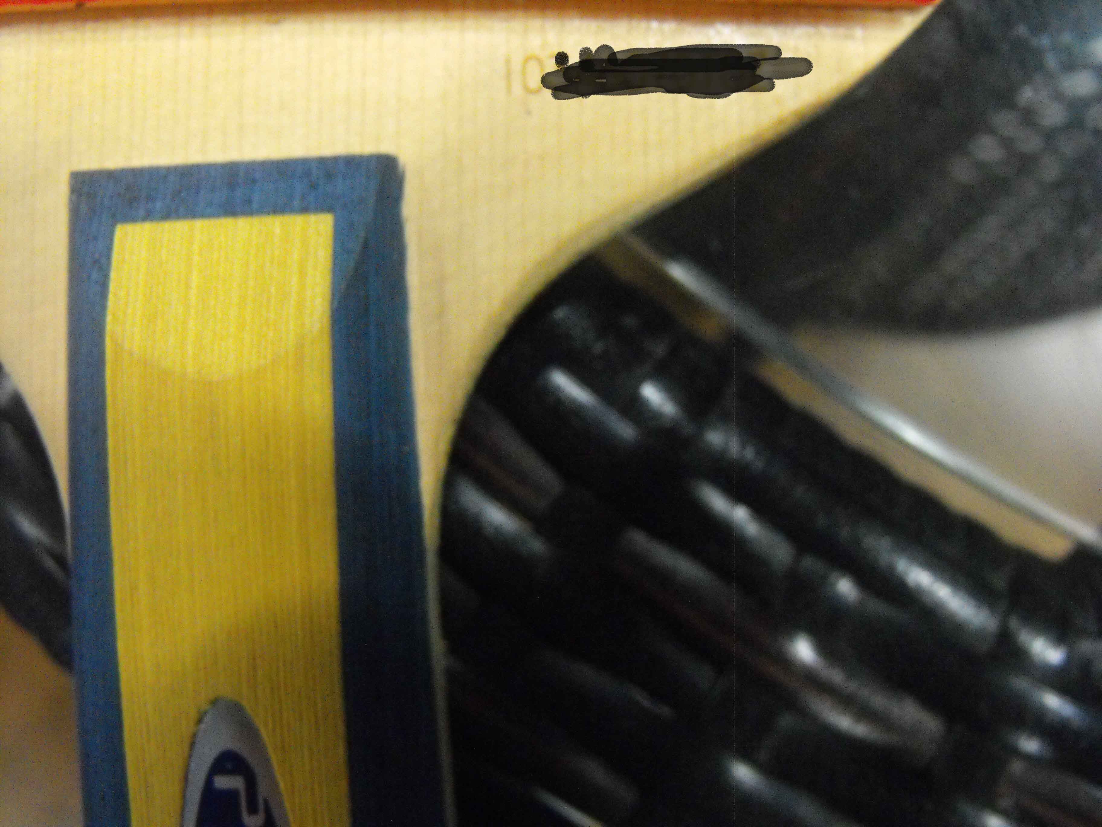 ����ֻ���ѳ�������ʦ��һֻ�������͹�΢�ӣ����Ƚ��¡�