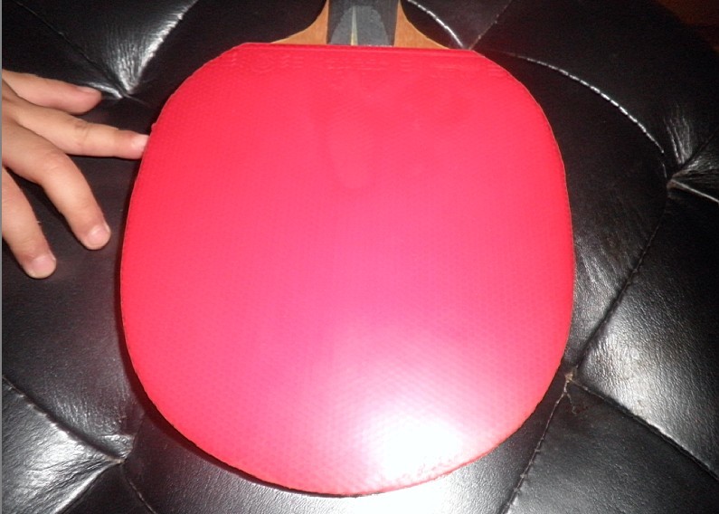 �����ۡ�ֱ���׽���������켫��