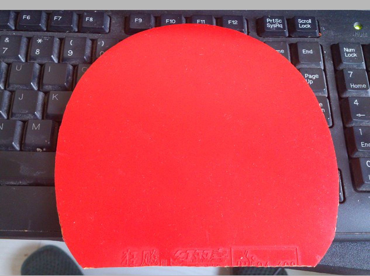 ���ѳ�������ͤYE������