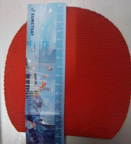 ����ɫ TSP spinpips MD����