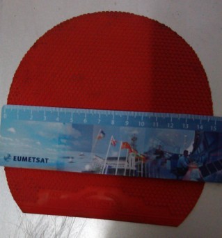 ����ɫ TSP spinpips MD����