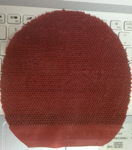 �˳������ڶ��������ٳ���