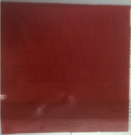 �˳������ڶ��������ٳ���