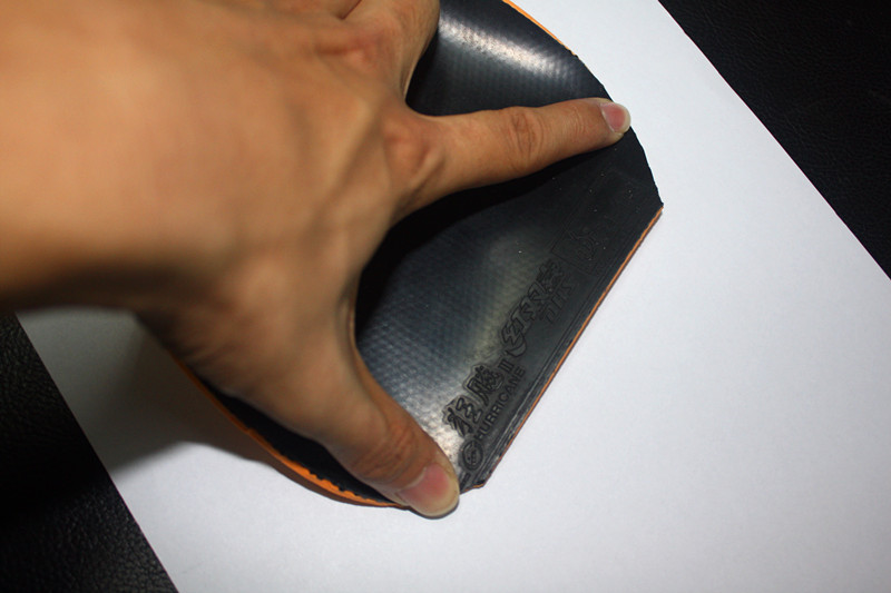 ����ɫ��������38����¹������һ��������̽��