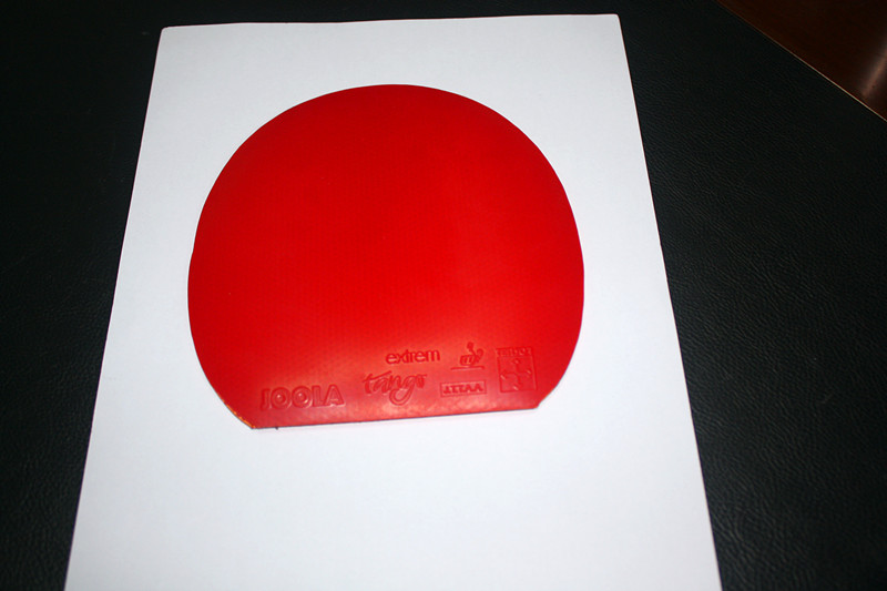 ����ɫ��������38����¹������һ��������̽��