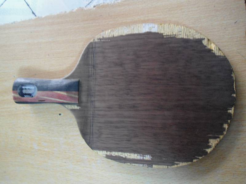 �� ���л� ���̼��7.6 wrb   ̼�ع���  �����-���ɭ ��ͼ