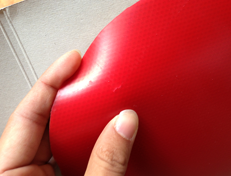 99���ʳ���8���� ����EL�׽�