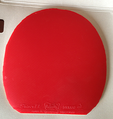 99���ʳ���8���� ����EL�׽�